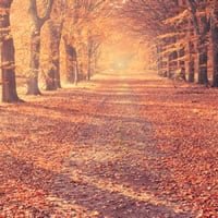 Final Autumn Statement gives SMEs certainty in uncertain times