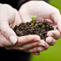 Interested in growing your business?