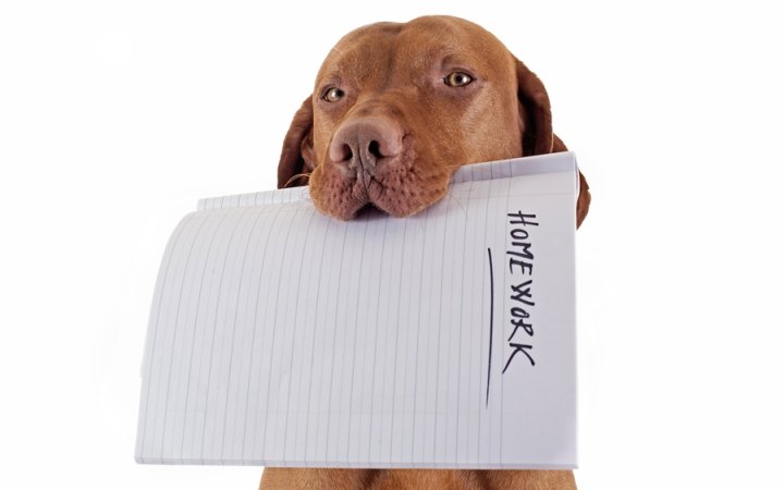 A decade of bizarre excuses and expense claims