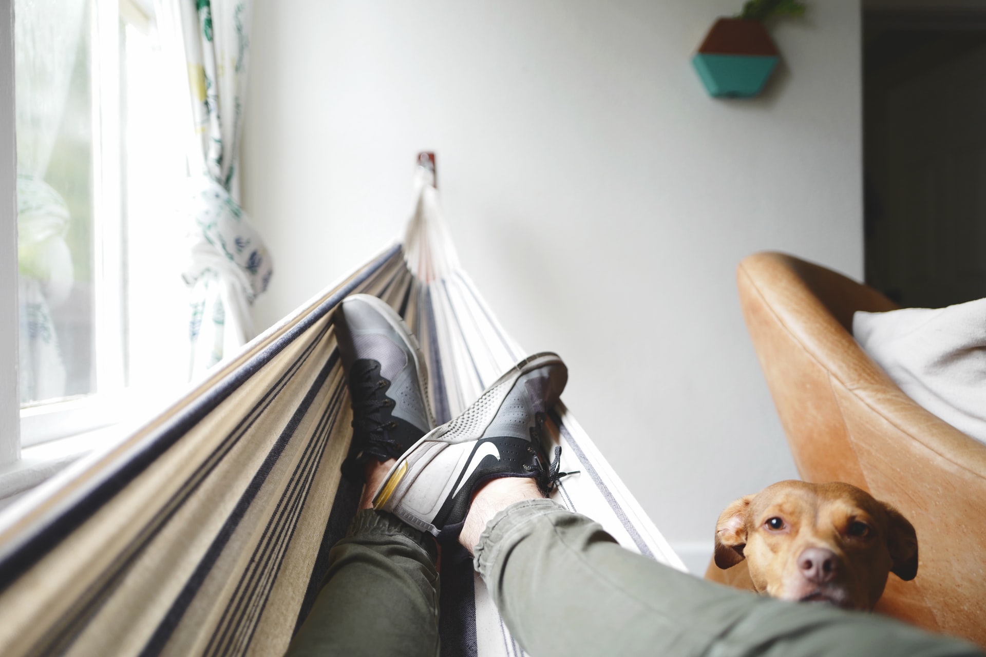 Self Employment Income Support Scheme Grants