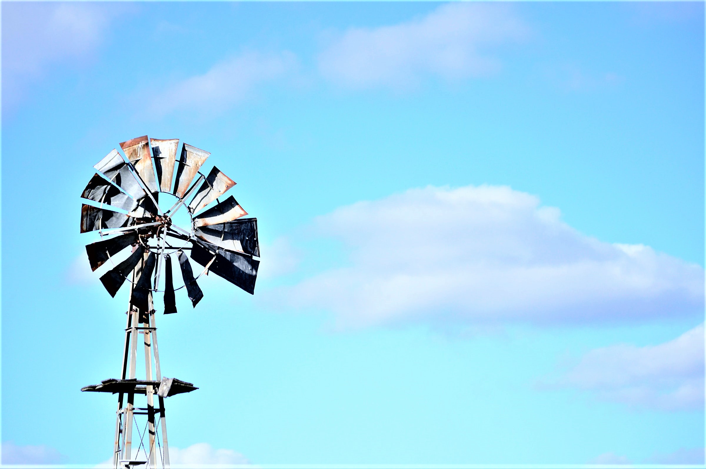 Costs ‘weighing on businesses’ sustainability intentions’, FSB finds