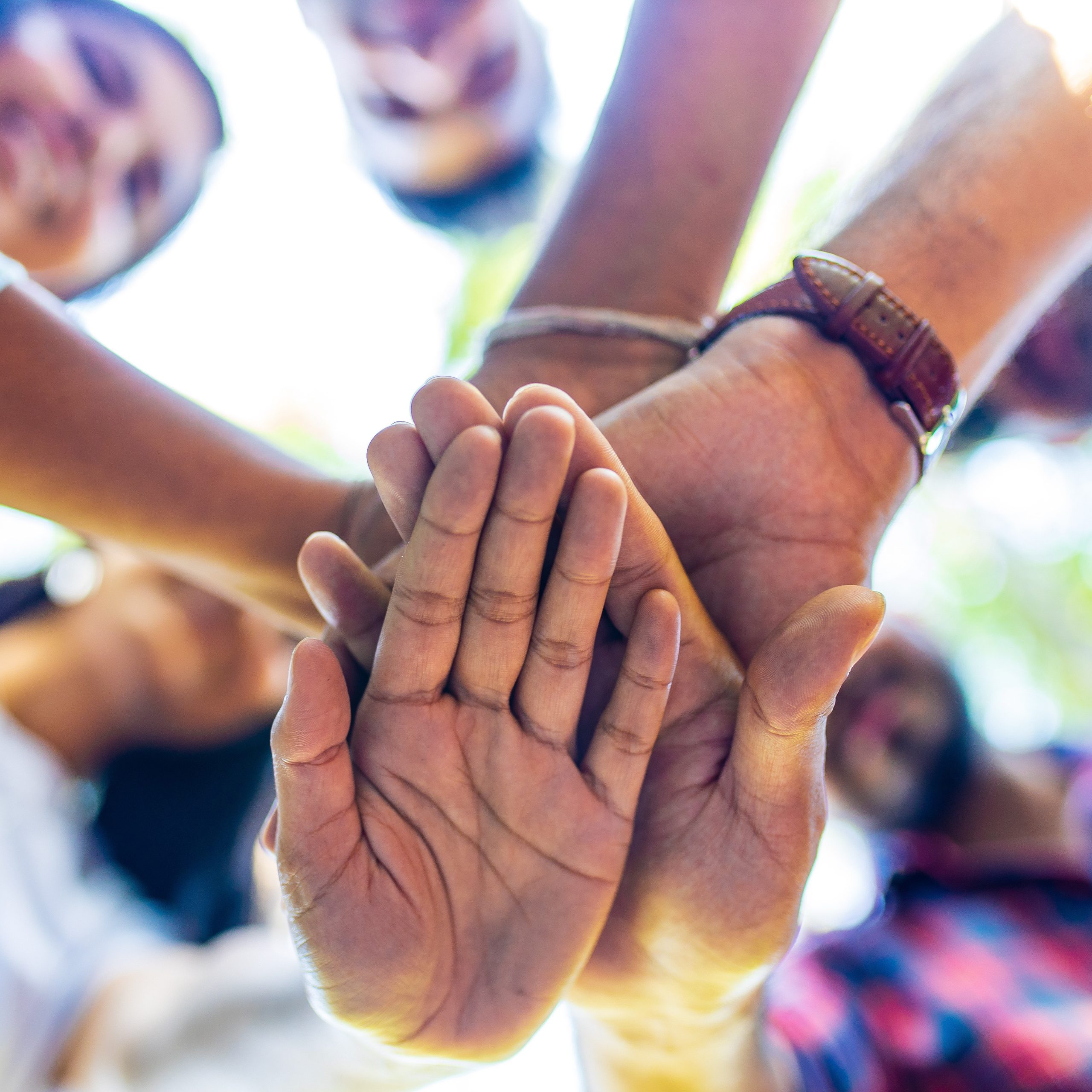 Family Business Ventures: Navigating the Highs and Lows