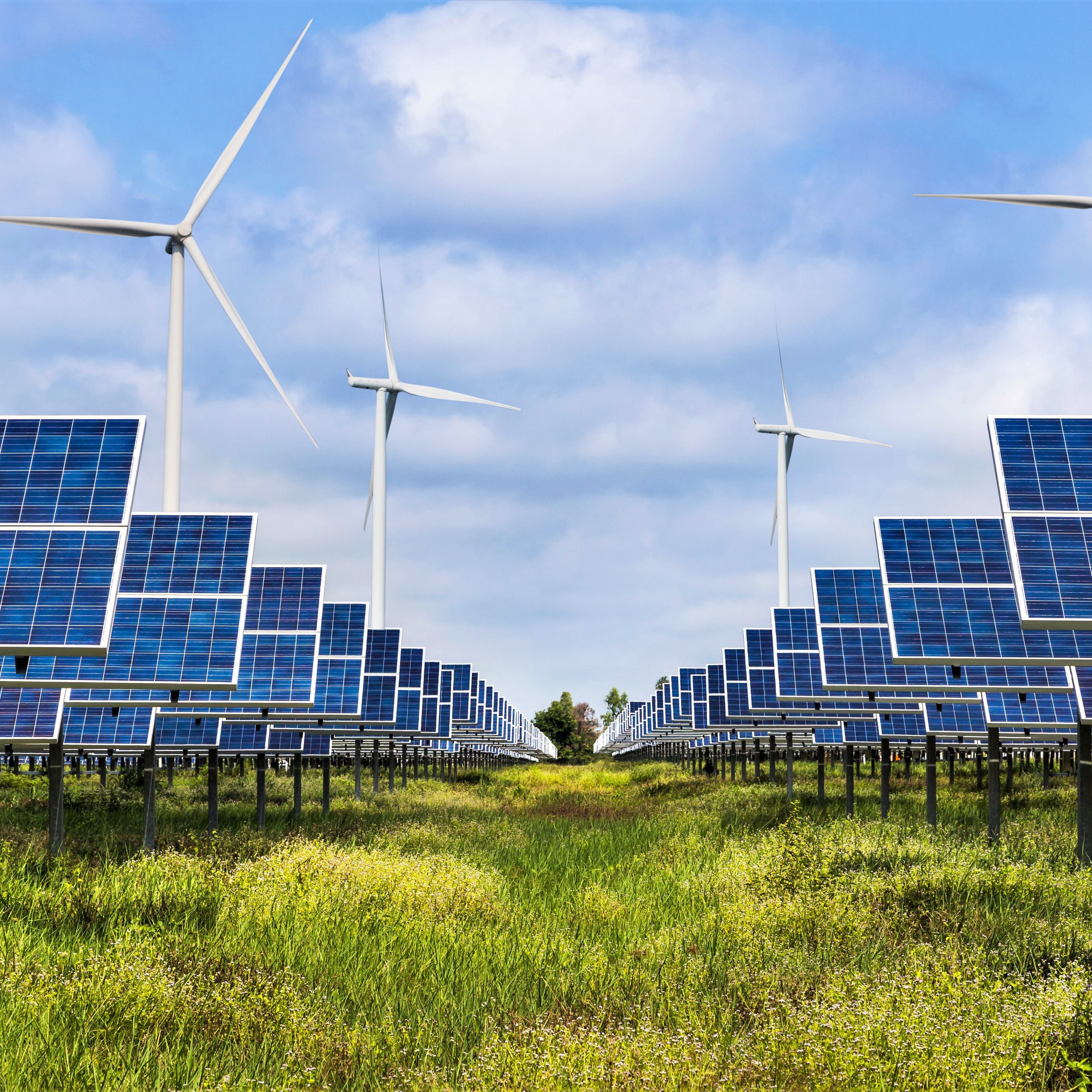 Government launches Business Climate Hub