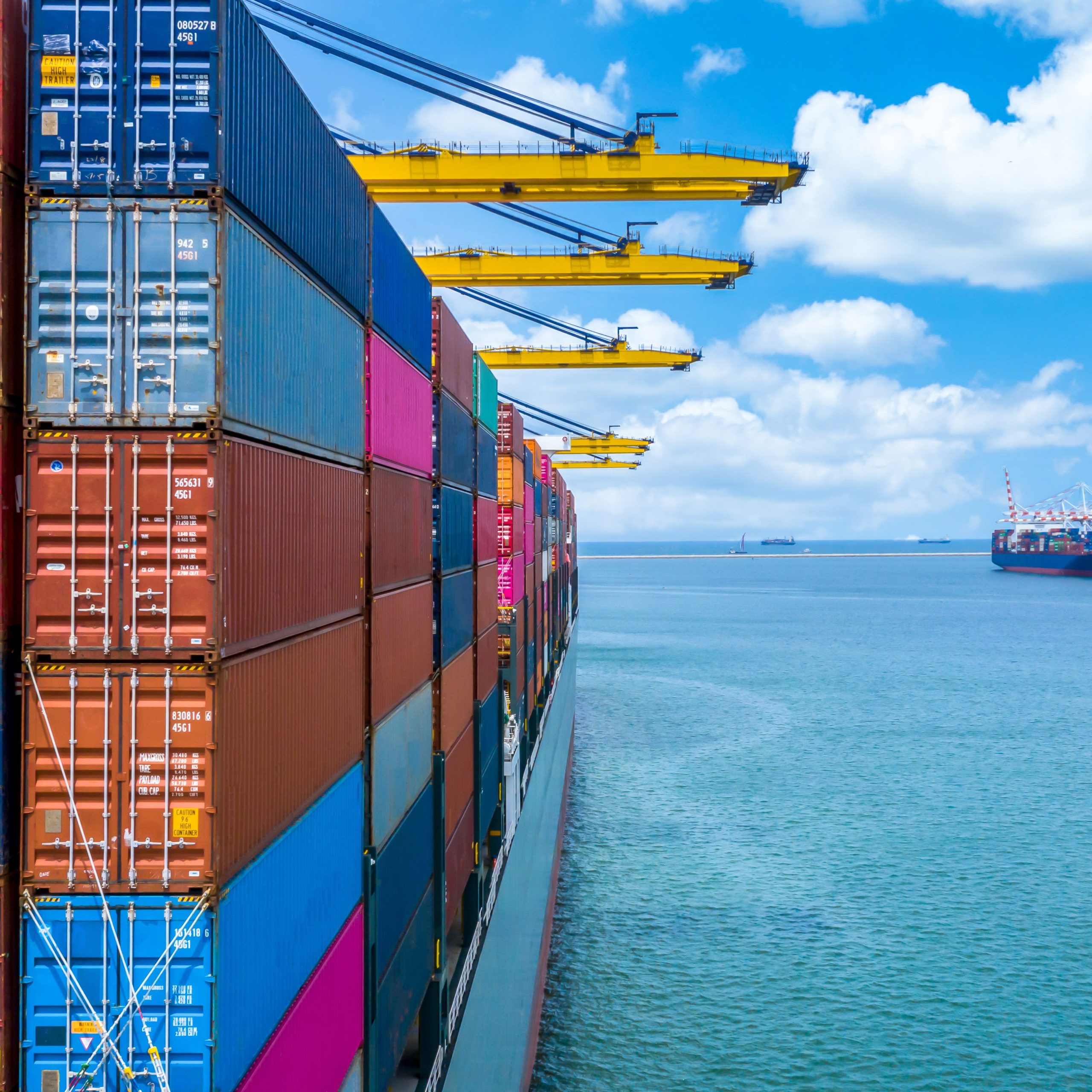 Clarity on new border checks is vital, says BCC