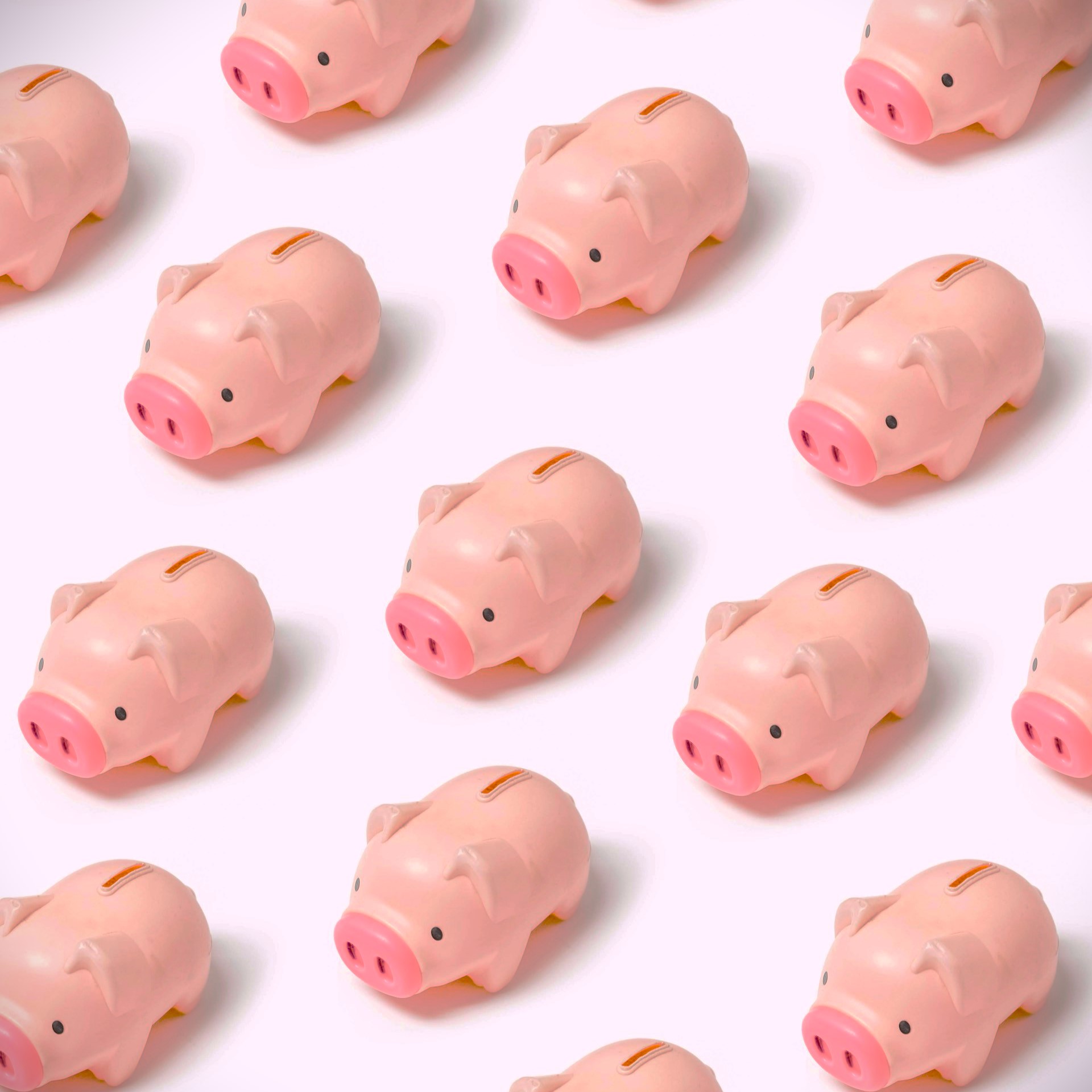 Bank holds interest rates as inflation and economy show improvement