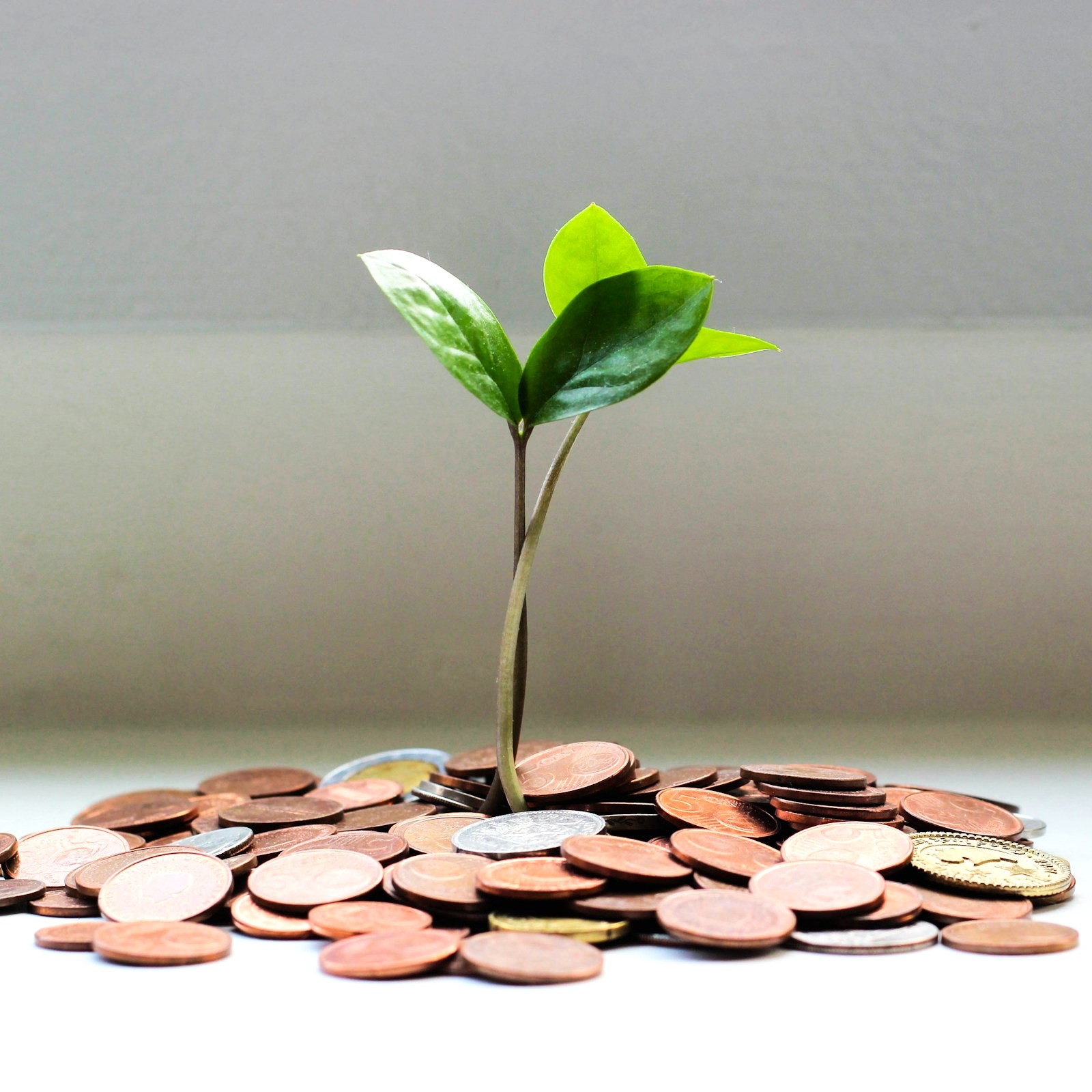 Retirees report £119,000 shortfall in pension savings