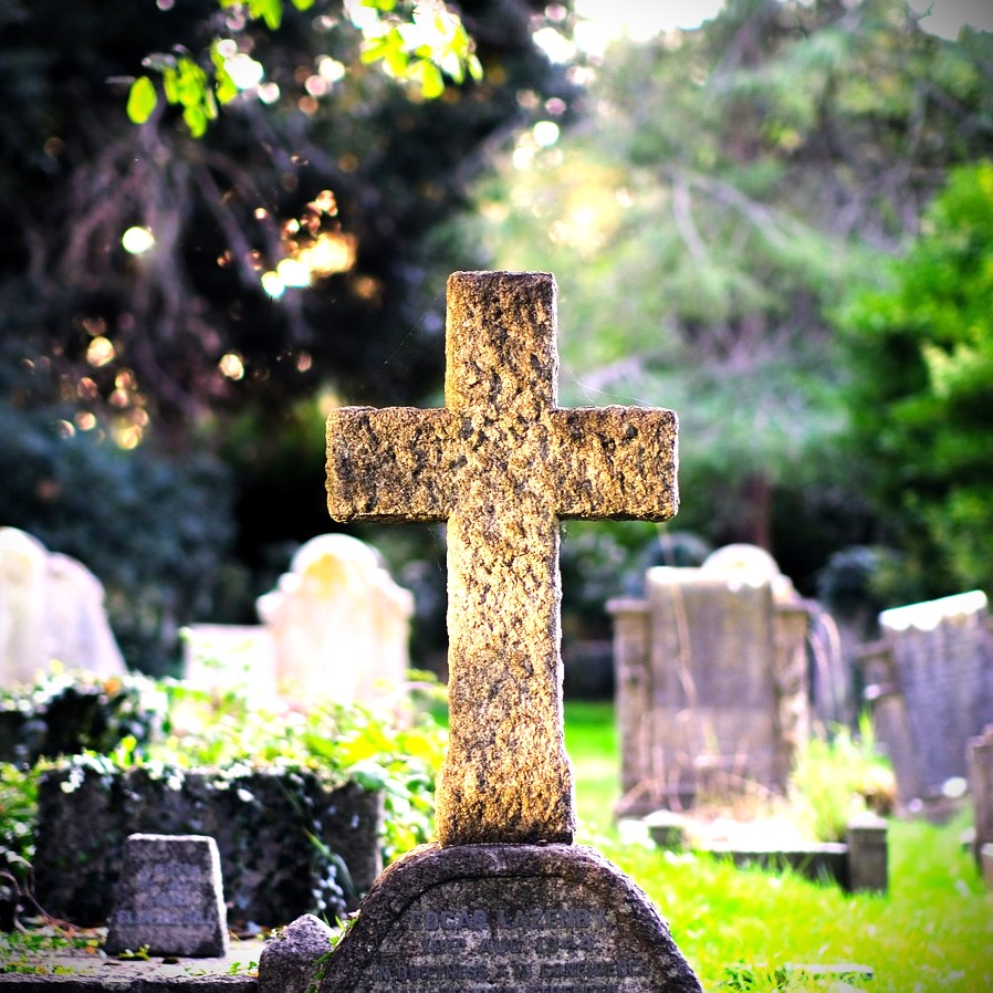 Securing Your Legacy: A Comprehensive Guide to Passing on Your Business to the Next Generation