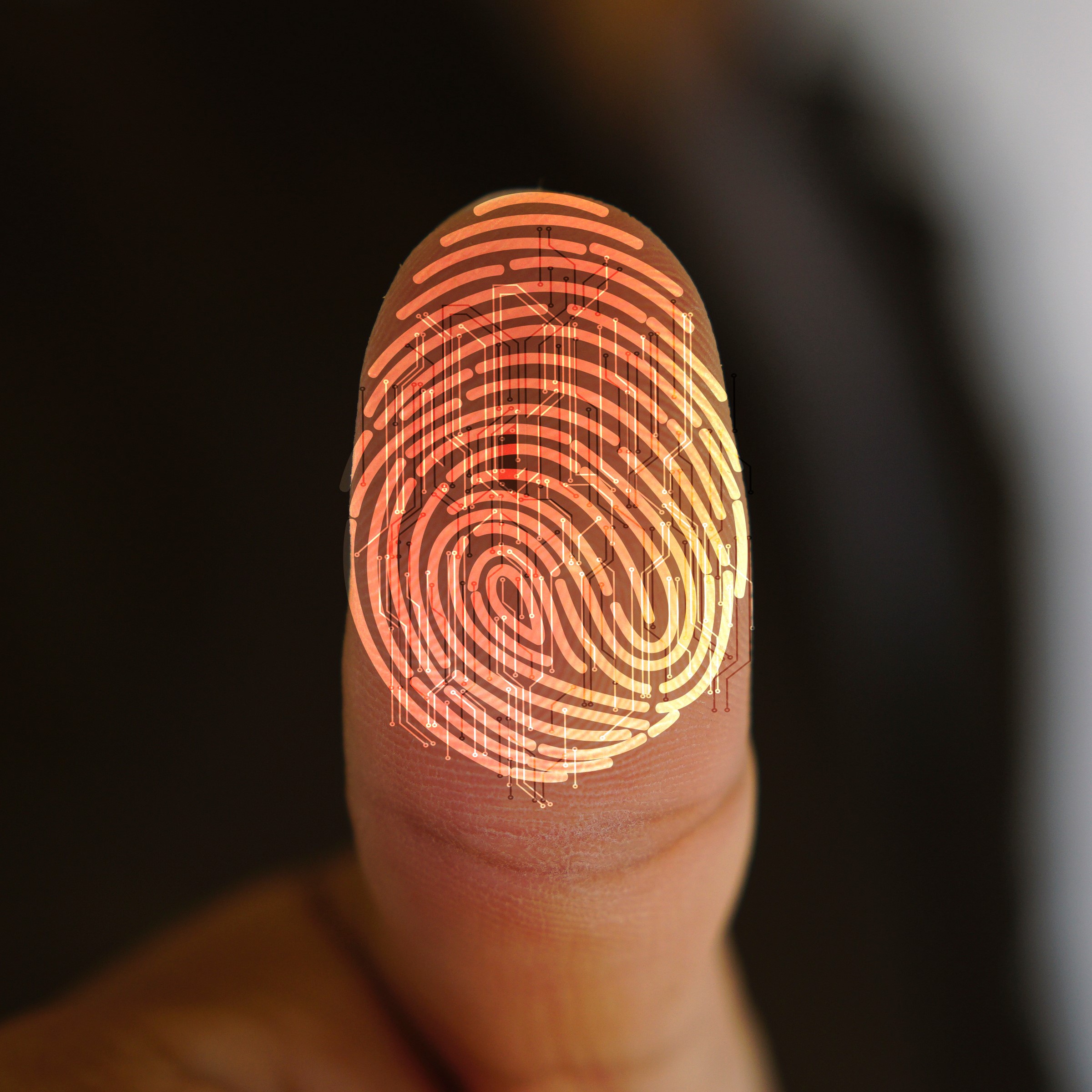 Companies House begins to verify identities