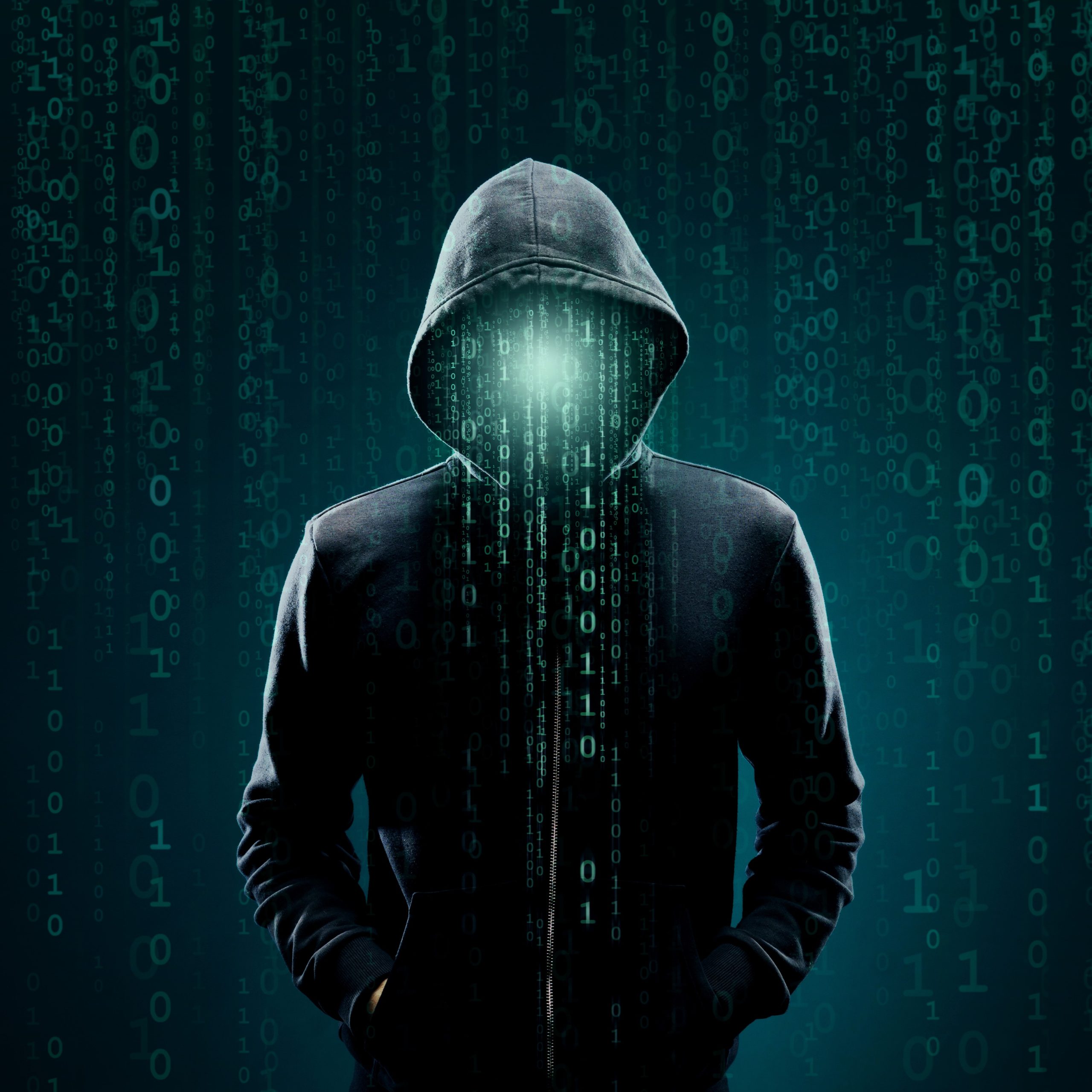 HMRC system attack is a timely reminder to keep personal data safe