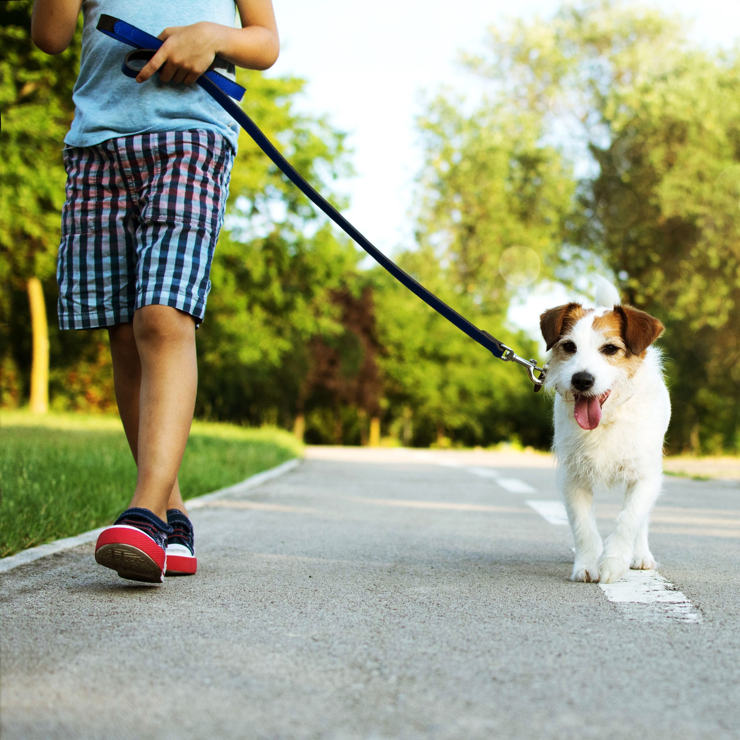 HMRC sends side hustle warning